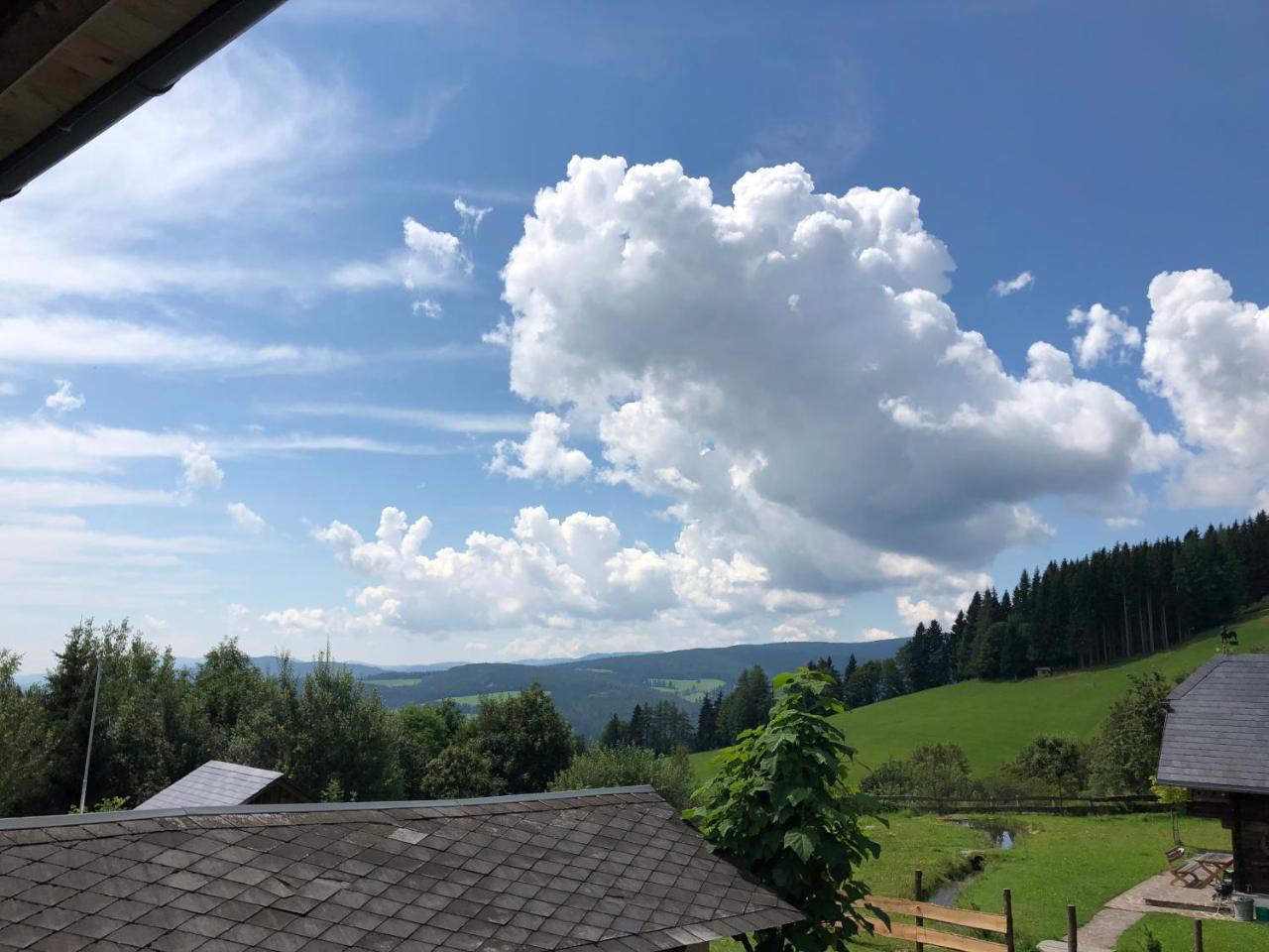 Waldheimathuette Villa Sankt Kathrein am Hauenstein Dış mekan fotoğraf