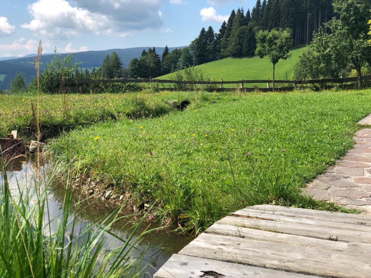 Waldheimathuette Villa Sankt Kathrein am Hauenstein Dış mekan fotoğraf