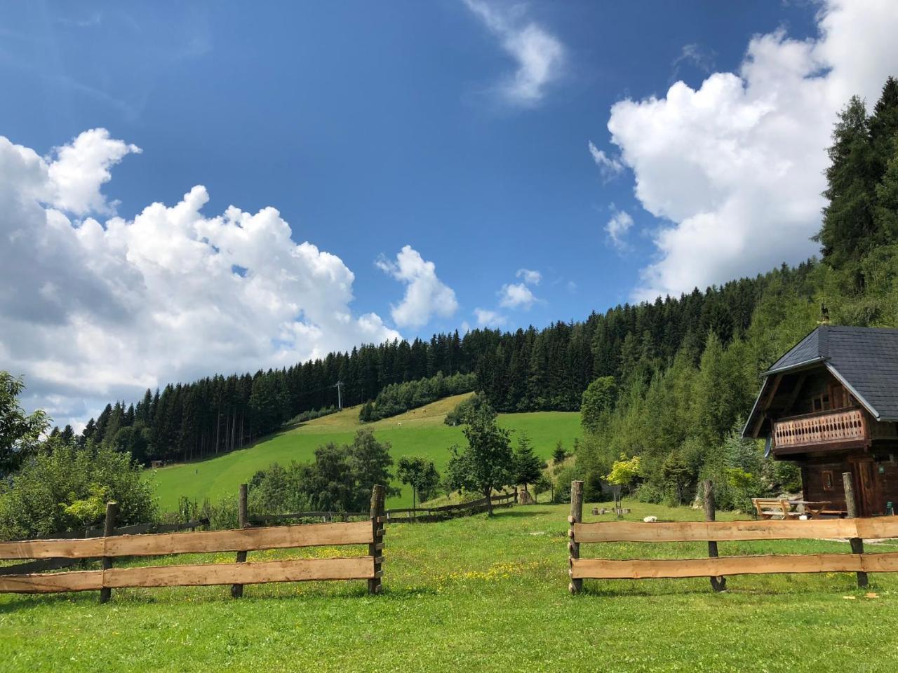 Waldheimathuette Villa Sankt Kathrein am Hauenstein Dış mekan fotoğraf