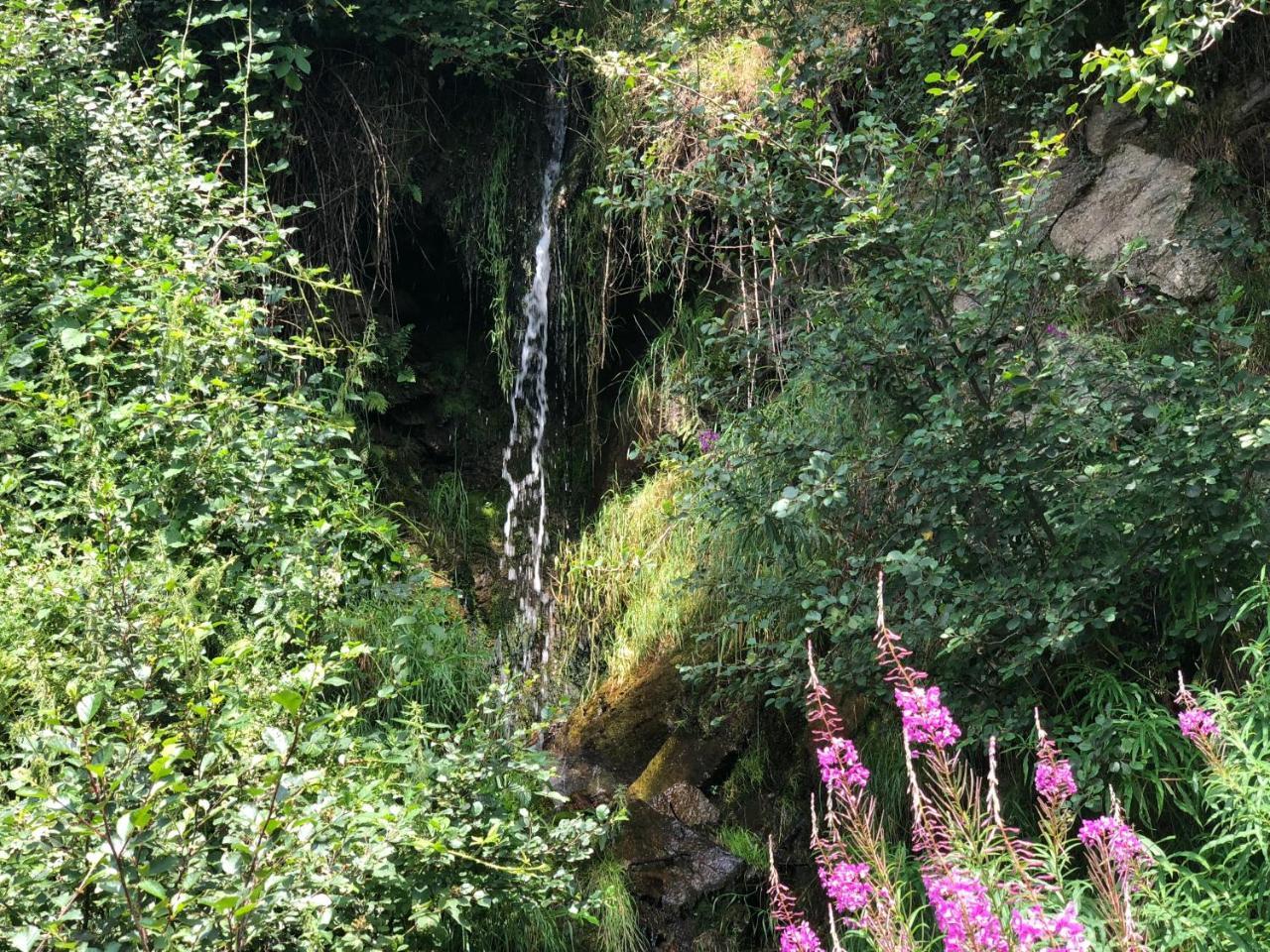 Waldheimathuette Villa Sankt Kathrein am Hauenstein Dış mekan fotoğraf