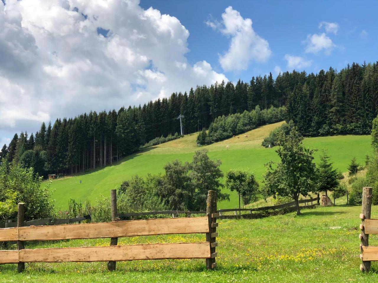Waldheimathuette Villa Sankt Kathrein am Hauenstein Dış mekan fotoğraf